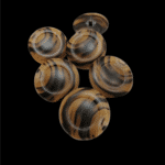 3259_dugme