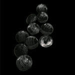6309_dugme