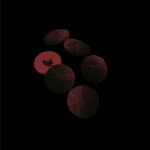11630_dugme