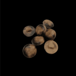 1573_dugme