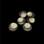 8743-6_dugme