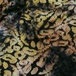 IMG_20221011_184623
