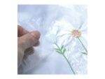 Thermofilm 30 my 50cm x 25mt